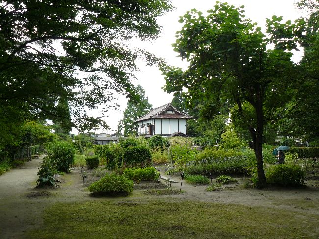 ��򉀁i��Îᏼ�s�j�F�ʐ^