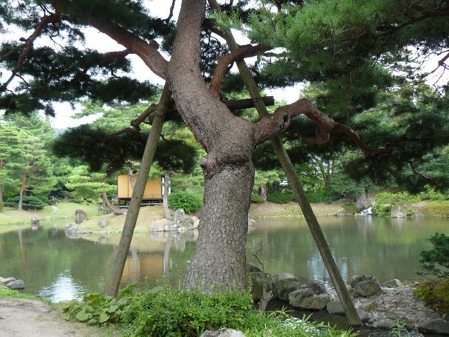 ��򉀁i��Îᏼ�s�j�F�ʐ^