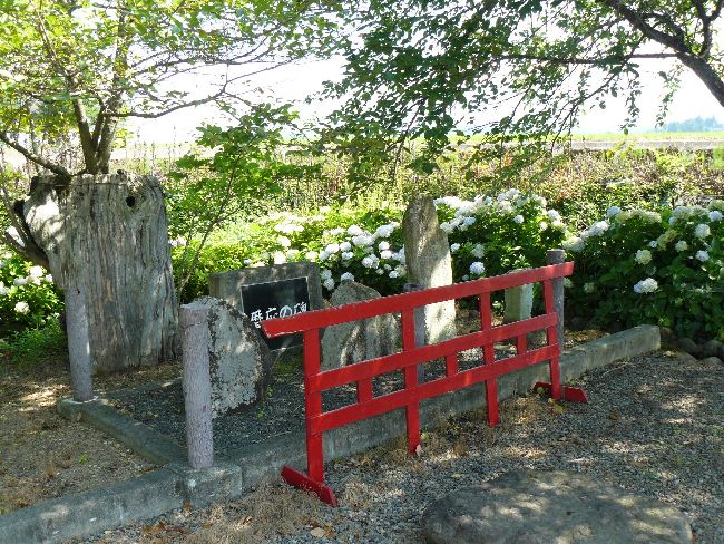 ��̔�i��Îᏼ�s�j�F�ʐ^