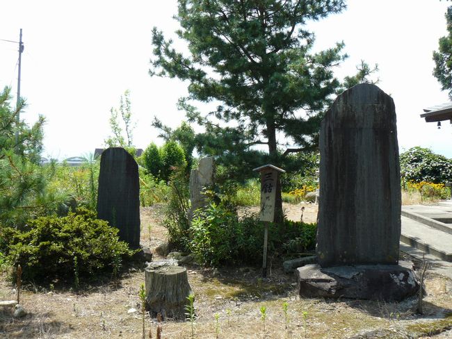 ���r��ω����i�@�؎��j�F�ʐ^