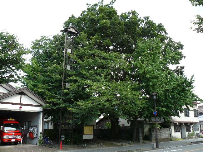 ��������@�Ձi��Îᏼ�s�j�F�ʐ^