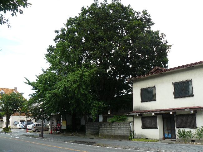 ��������@�Ձi��Îᏼ�s�j�F�ʐ^