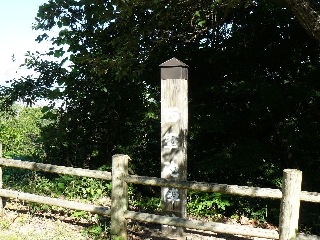 ���R�C�w�Ձi��Îᏼ�s�j�F�ʐ^