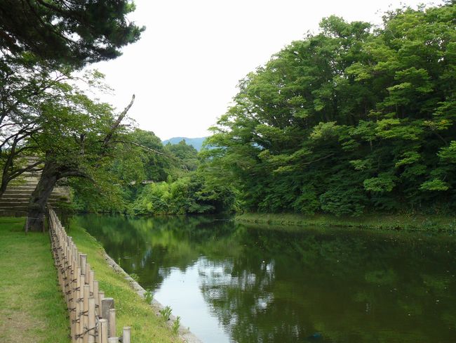 �߃���i��Îᏼ��j