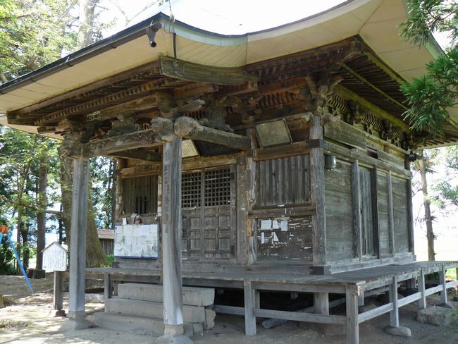 �c���R�ω��i�{��@�j�F�ʐ^