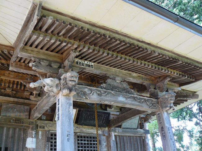 �c���R�ω��i�{��@�j�F�ʐ^