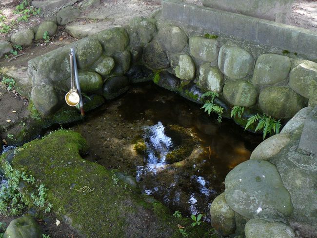 �c���R�ω��i�{��@�j�F�ʐ^