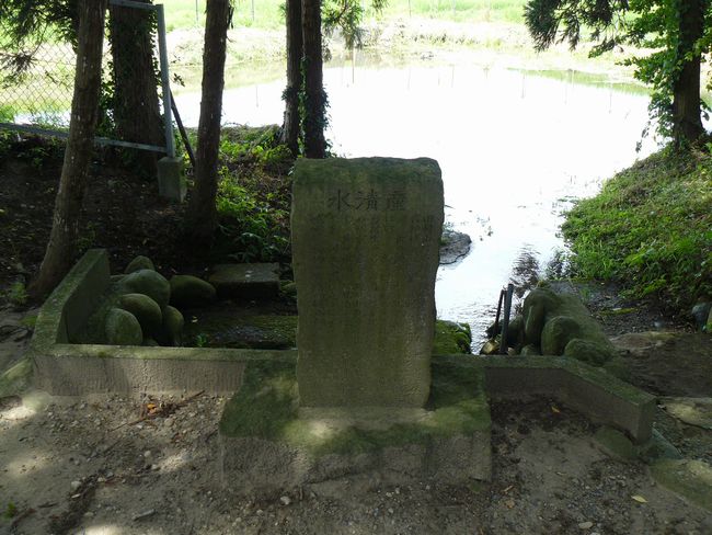 �c���R�ω��i�{��@�j�F�ʐ^