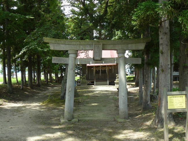 �c���R�ω��i�{��@�j�F�ʐ^