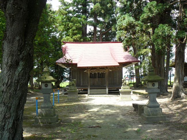 �c���R�ω��i�{��@�j�F�ʐ^