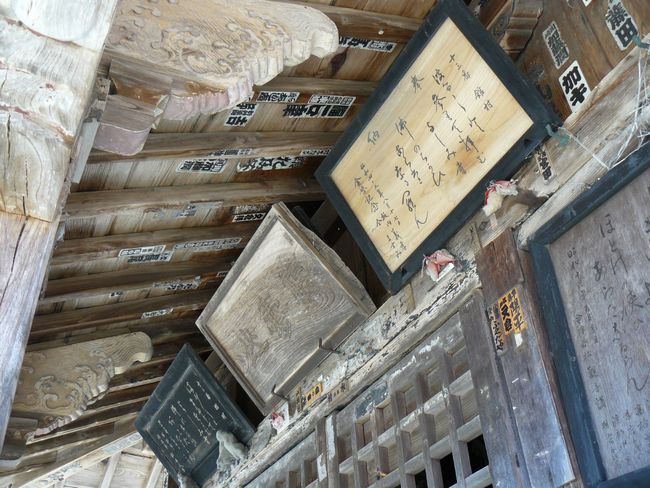 �ڊω����i�ω����j�F�ʐ^