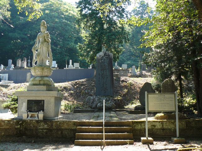 �P�����i��Îᏼ�s�j�F�ʐ^