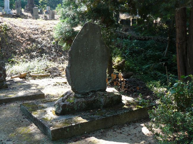 �P�����i��Îᏼ�s�j�F�ʐ^