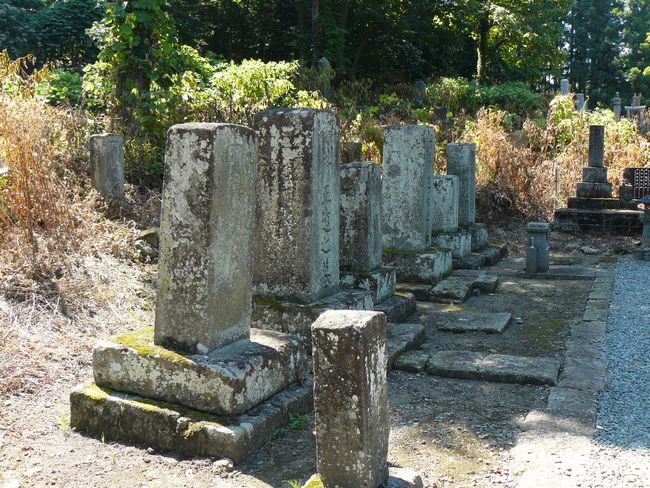 �P�����i��Îᏼ�s�j�F�ʐ^