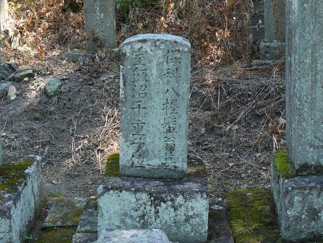 �P�����i��Îᏼ�s�j�F�ʐ^