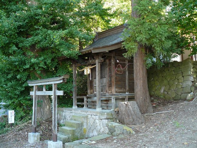 �P�����i��Îᏼ�s�j�F�ʐ^