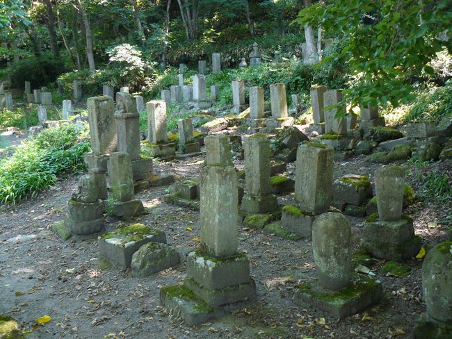 �P�����i��Îᏼ�s�j�F�ʐ^