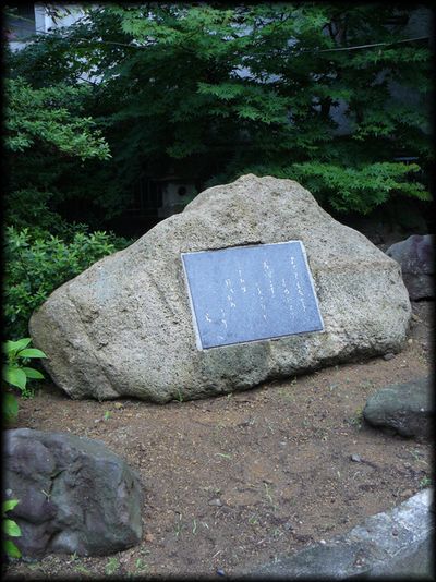 �|�v����̔�