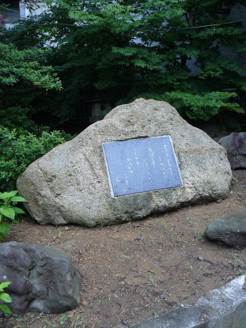 �|�v����̔�