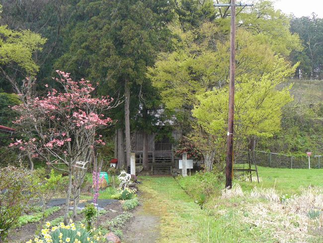 �z��X���F�D�n�h