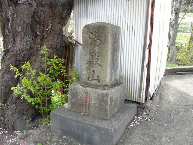 �z��X���F�C���{�h