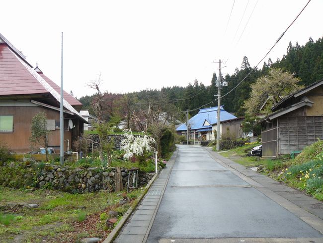 �z��X���F�V�J�h