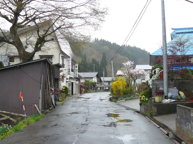 �z��X���F���h