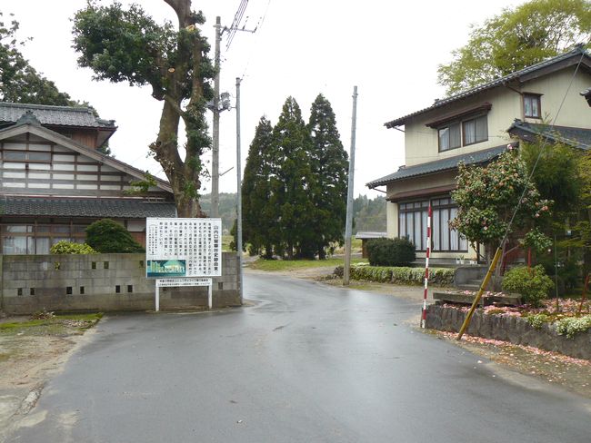 �z��X���F�R���h