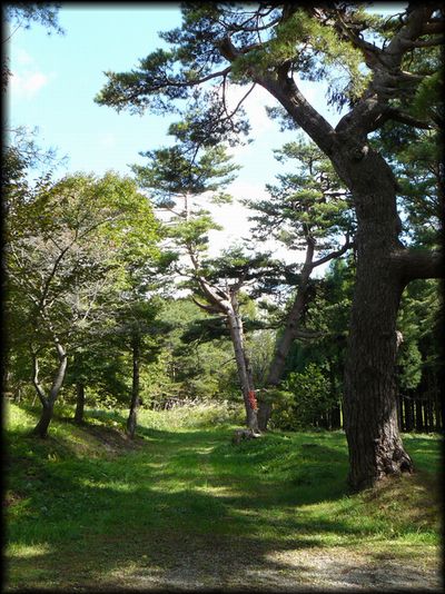 ����{���X��������