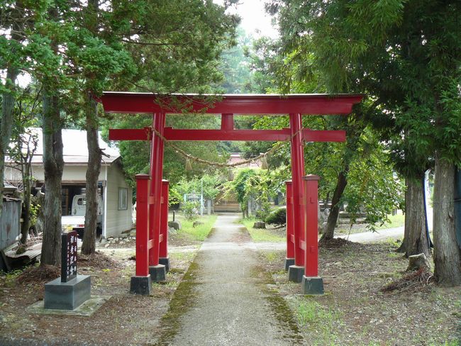 �����_��