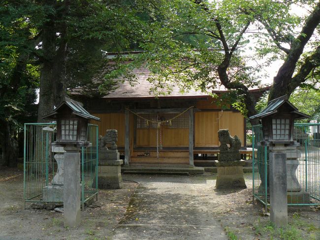 �����_��