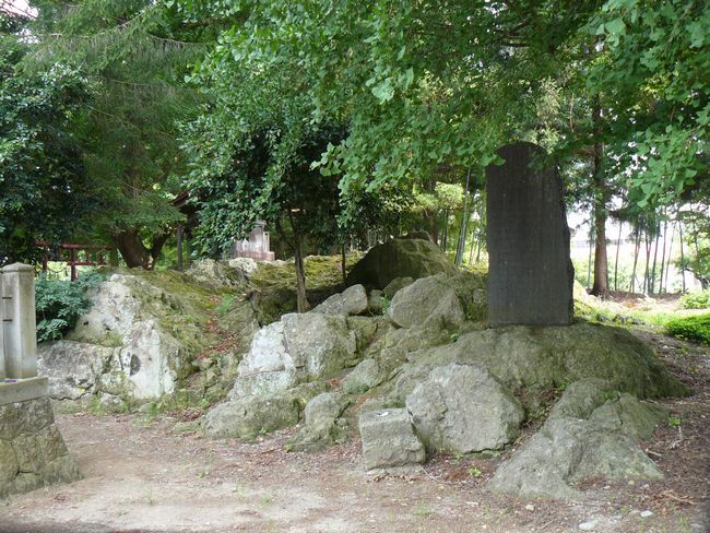 �����_��