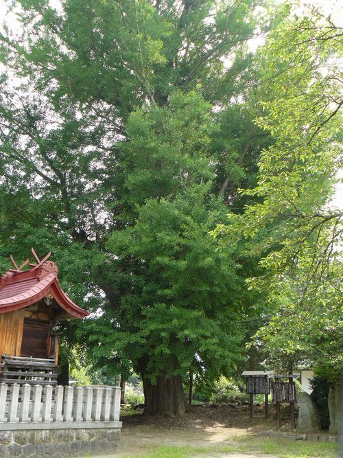 ��C�`���E