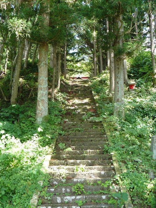 ��r�R�_��