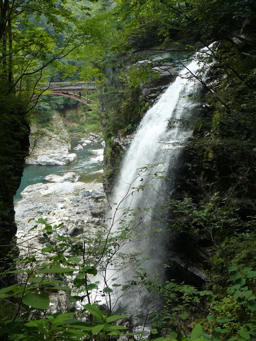 �����̑�