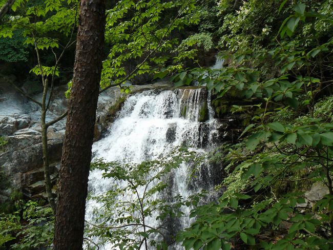 �����̑�