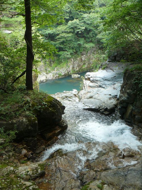 �����̑�