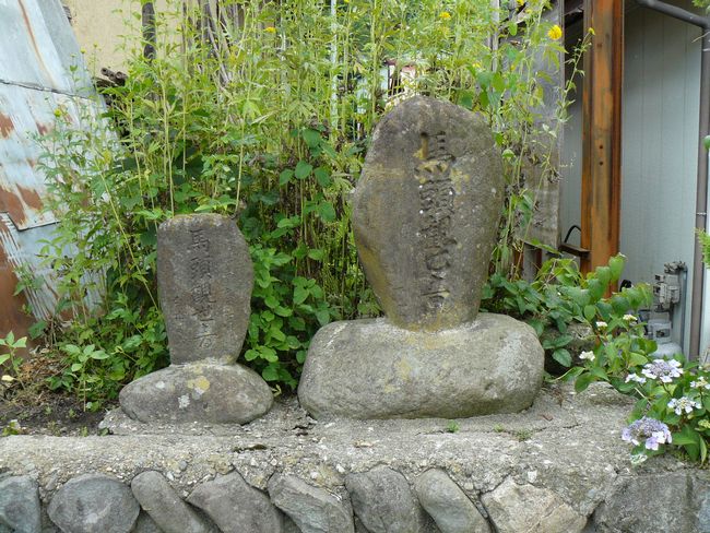 �q�J�h�E������