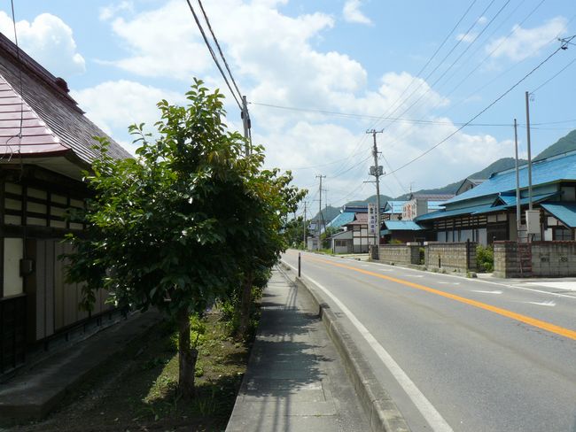 �茴�h�E������