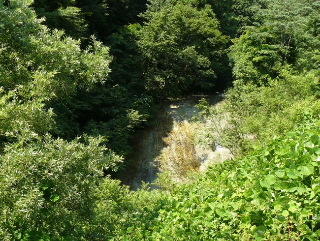 ����h�E������