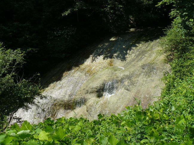 ����h�E������