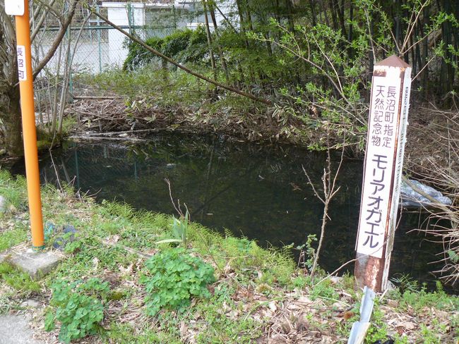 ���͊X���F�������h