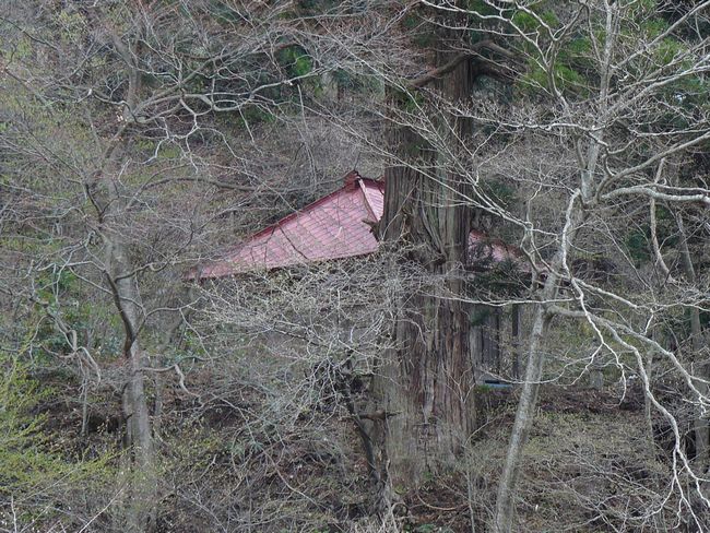 ���͊X���F�������h