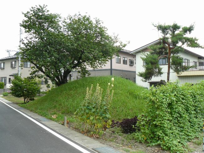 �ʕ{�̈ꗢ��