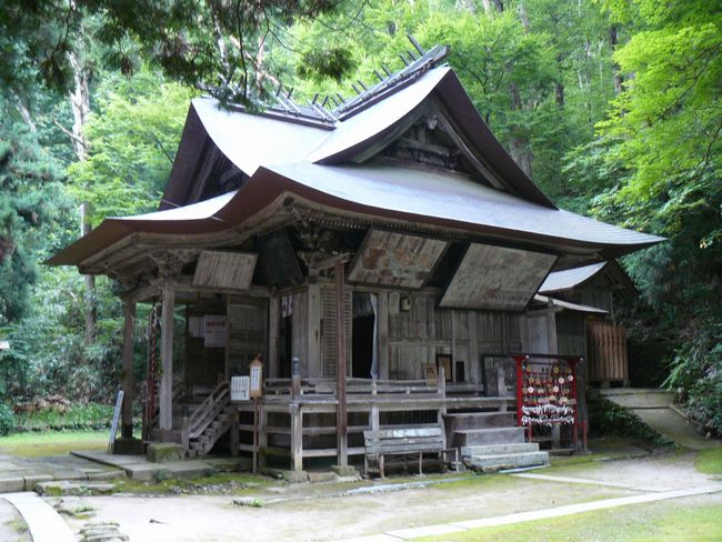 �����_��