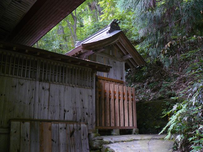 �����_��