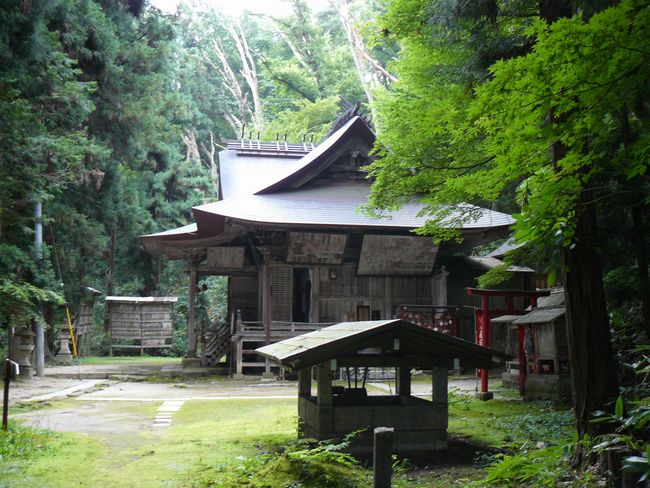 �����_��