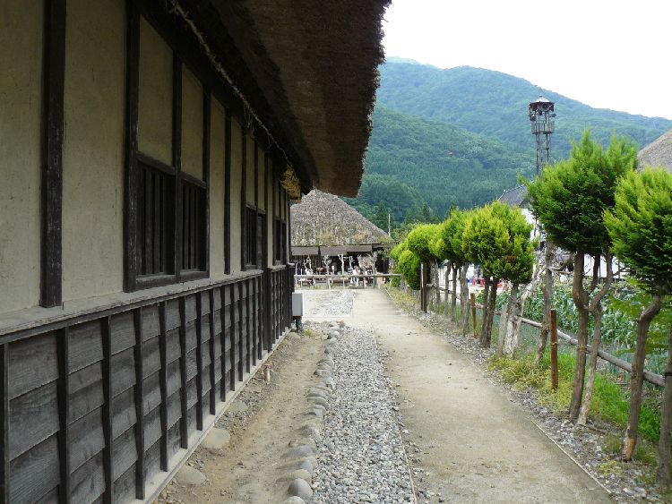 ����h�E�{�w