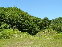 ������ꗢ�ˁi����h�j