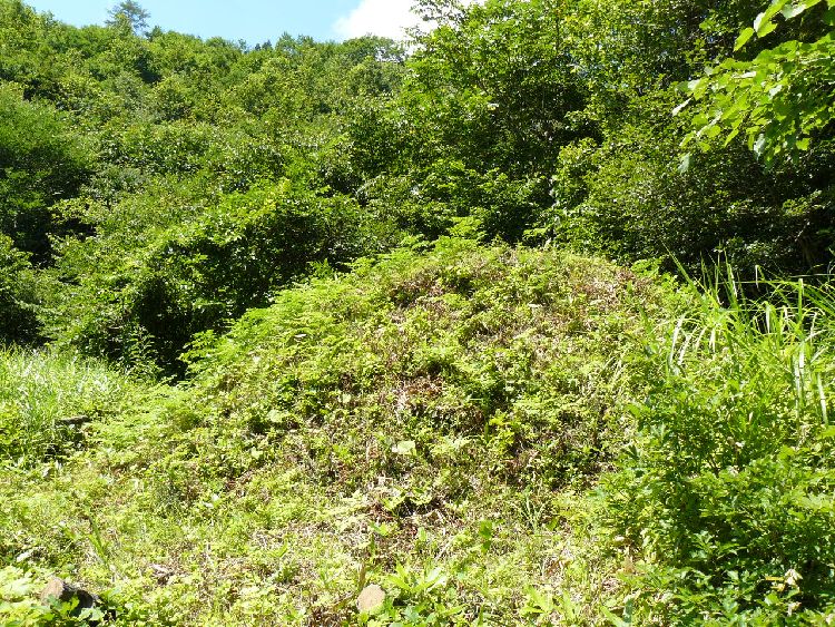 ����h�E������ꗢ��